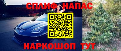 спиды Краснознаменск