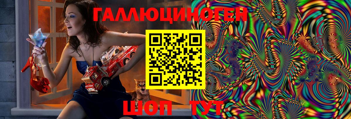 Псилоцибиновые грибы Psilocybe Качканар
